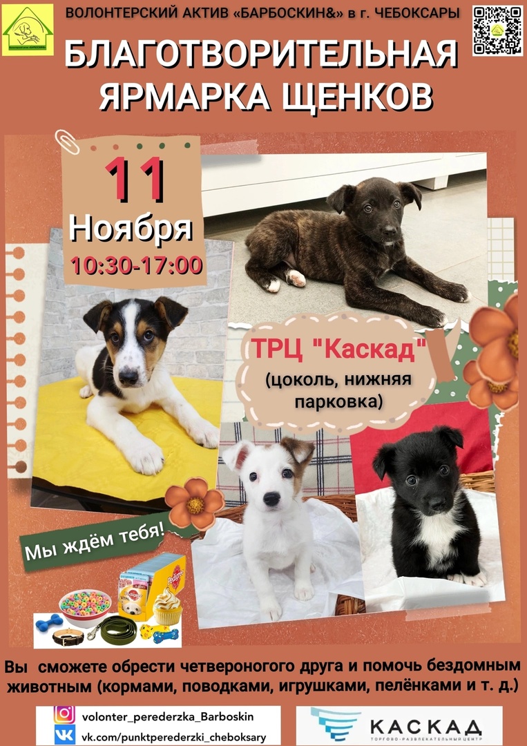 На четырех участках чебоксарских дорог появятся ограничительные знаки ...