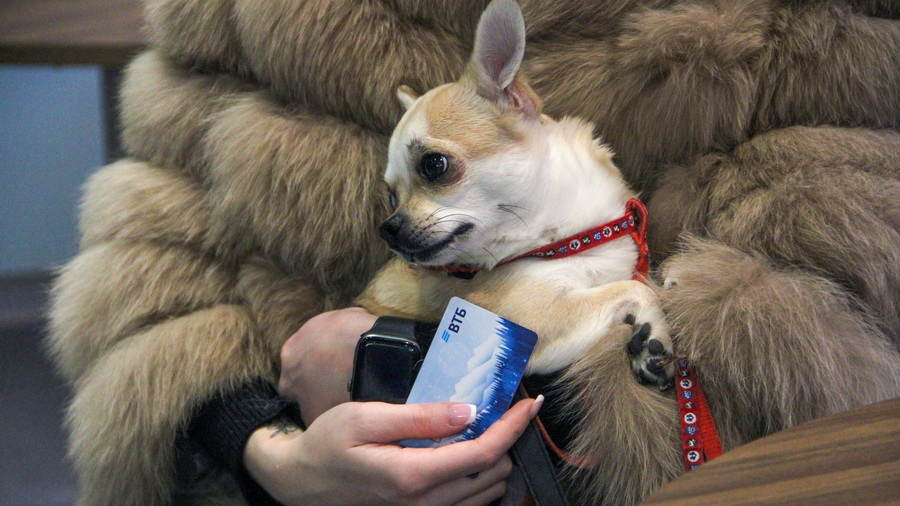 ВТБ выяснил, в каких регионах перед праздниками чаще ходят в салоны красоты