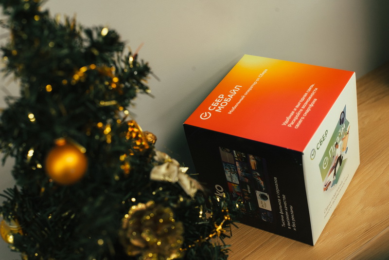 Изучить мировую историю, отправить в путешествие по Горному Алтаю и пройти курсы контраварийного вождения: сотрудники Волго-Вятского Сбера рассказали, что загадают в новогоднюю ночь