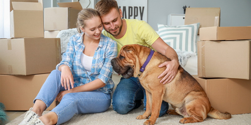 Сбер выдал рекордный объем ипотеки в декабре