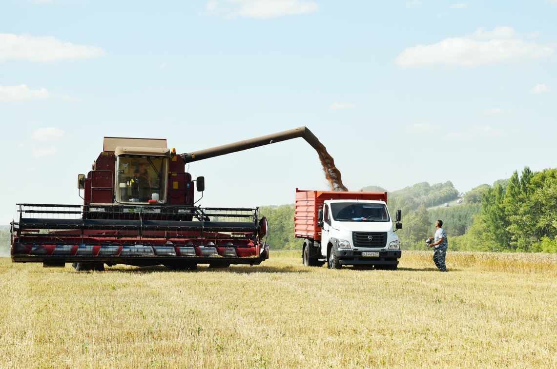 Четверть века в АПК: руководитель чувашского сельхозкооператива – о секрете успеха предприятия