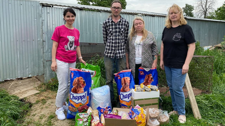 Волонтеры Волго-Вятского банка Сбербанка рассказали о помощи приютам для бездомных животных
