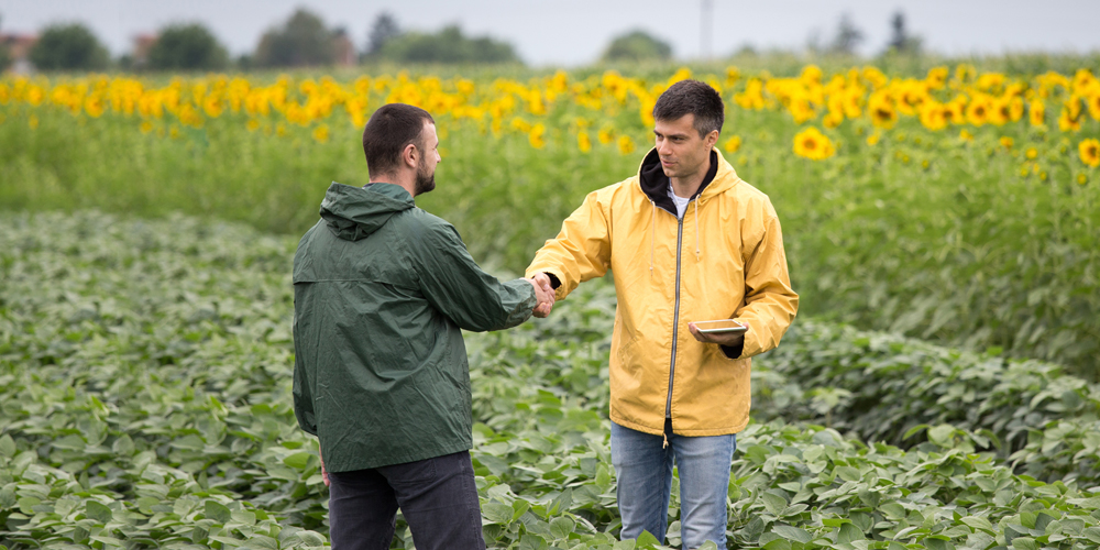 Россельхозбанк представит возможности экосистемы  СВОЁ на «Дне поля – 2023» в Чувашской Республике