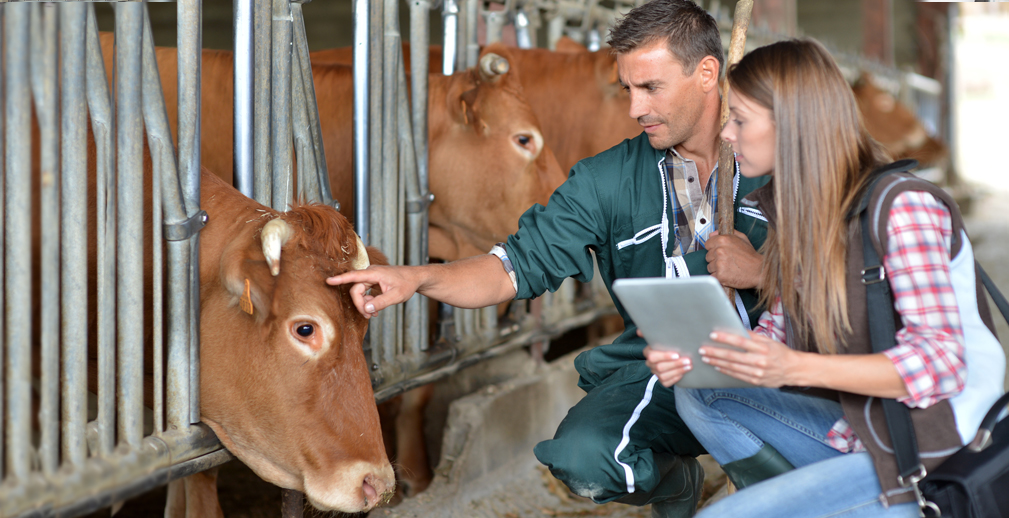 «Уникальный инструмент для поиска работы и практики в АПК»:  ректор Чувашского ГАУ Андрей Макушев – о запуске сервиса «Я в агро»