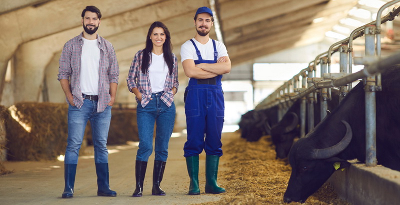 Платформа РСХБ «Я в агро» собрала на одной площадке уже более 2 тыс. работодателей сектора АПК